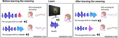 ERP Evidences of Rapid Semantic Learning in Foreign Language Word Comprehension